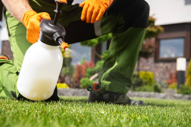 Best Pest Control Near Me  in Gunnison, CO