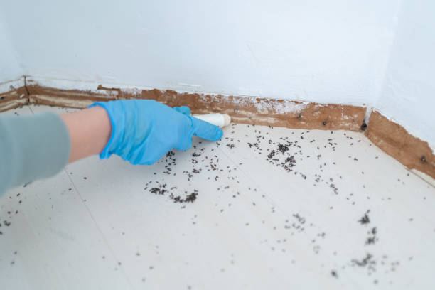 Best Best Pest Control Companies  in Gunnison, CO